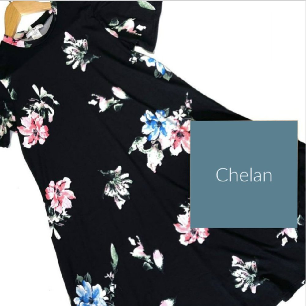 Amelia James Chelan Floral Dress NWT